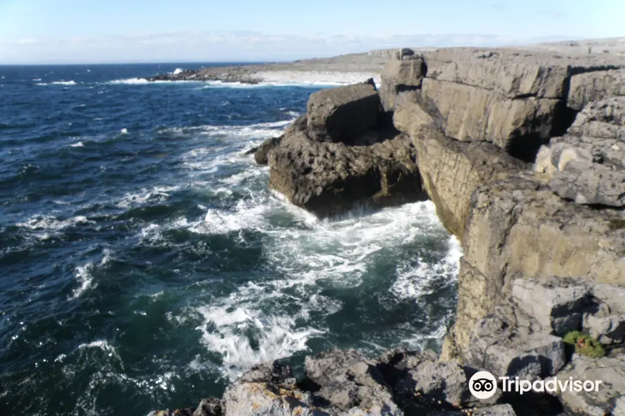 Burren way