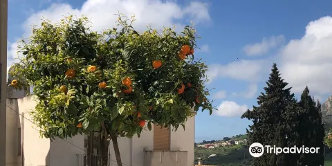 Abbeveratoio San Marco