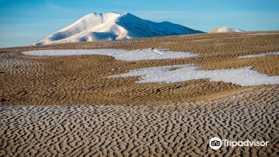 Winnemucca Sand Dunes