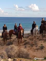 Lanzarote a Caballo