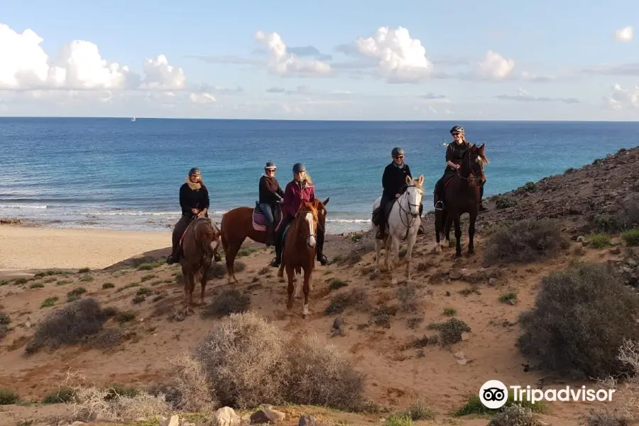 Lanzarote A Caballo