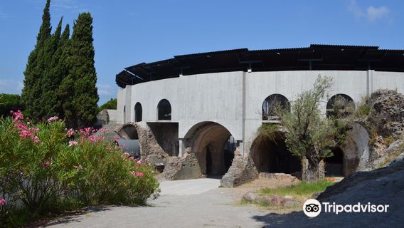 Arènes de Fréjus