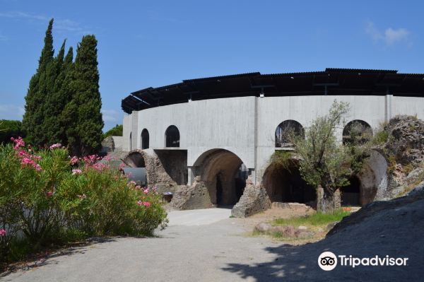 Arènes de Fréjus