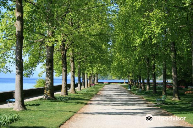 Independence Park