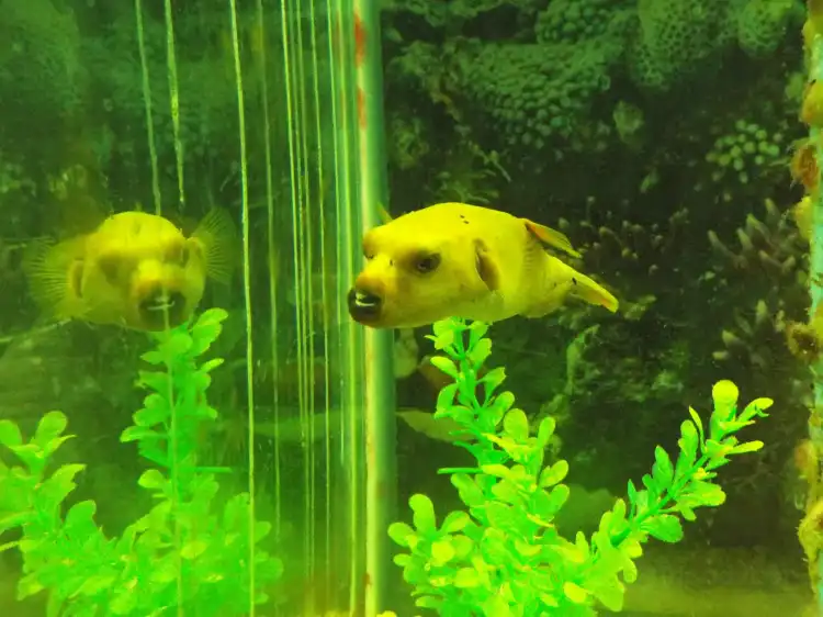 Acuario Municipal de Mendoza 주변 호텔