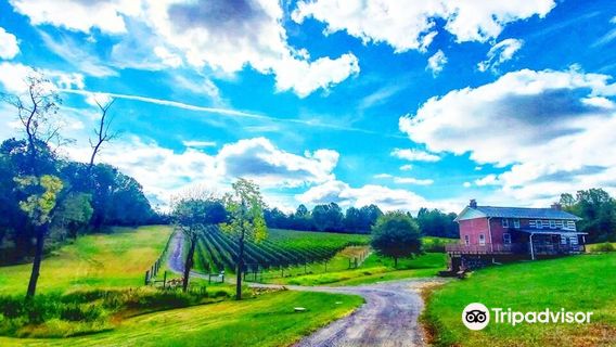 Casanel Vineyards & Winery