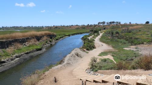 Upper Newport Bay Nature Preserve