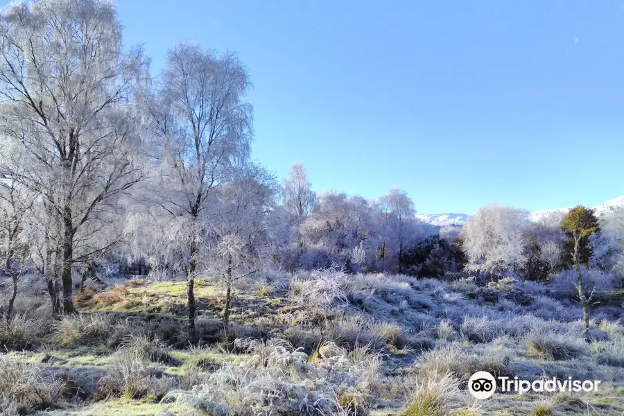 Glen Finglas Visitor Gateway & Estate