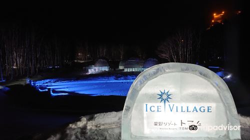 Ice Village