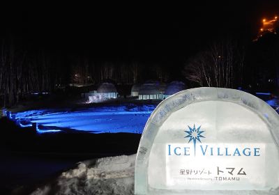 Ice Village