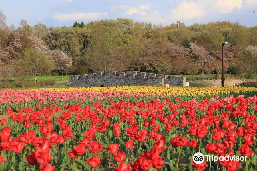 Omiya Hana no Oka Norin Park