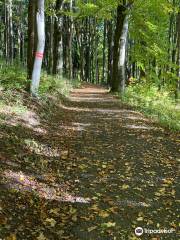 The Marianske Lazne Geological Park