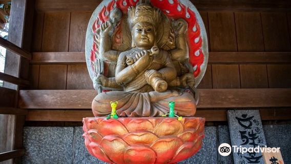 Nyoirinji Frog Temple