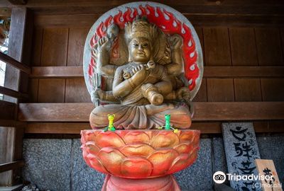 Nyoirinji Frog Temple