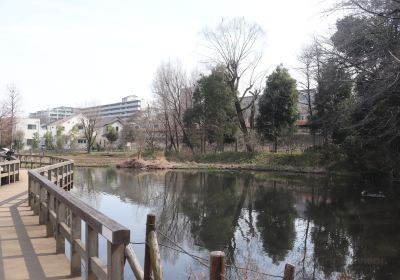 Sugatami-no-ike Pond