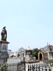 Cementerio Presbitero Matias Maestro