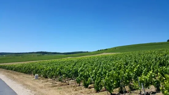 Au Bel Air Champenois