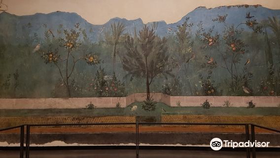 1-day tour of the Colosseum, Santa Maria Novella, and the National Roman Museum