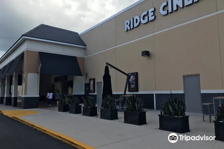 Paragon Theaters - Ridge