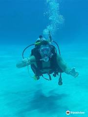 Jamaica Scuba Divers Ltd.