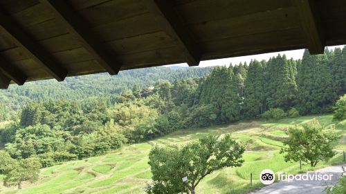 Oyama Rice Terraces