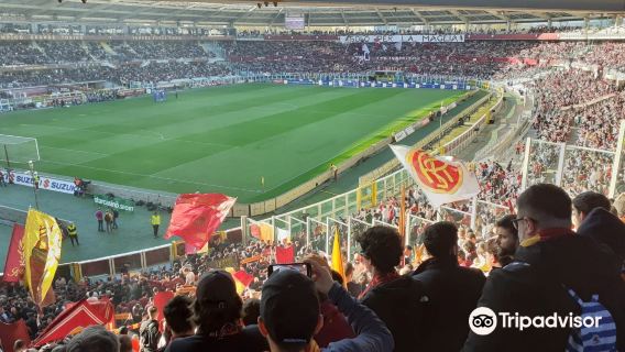 Torino Olympic Stadium + Politecnico di Torino + Palazzo Stupinigi