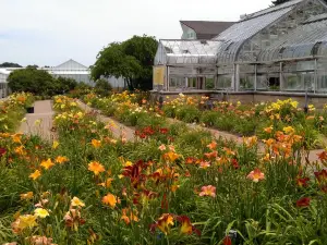 堪薩斯州立大學花園