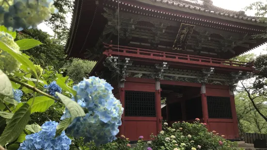 雨引山 楽法寺（雨引観音）