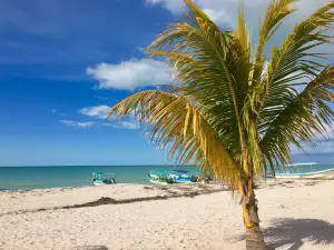 Playa Norte Celestún