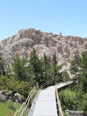 Cliff Shelf Nature Trailhead