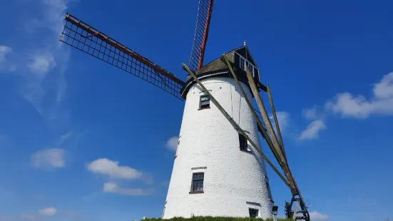 Schellemolen