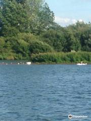 Idle Valley Nature Reserve （Notts Wildlife Trust）