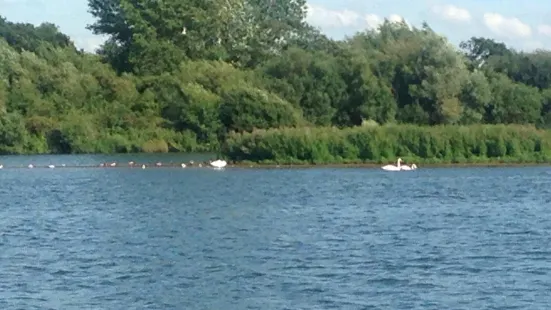 Idle Valley Nature Reserve (Notts Wildlife Trust)