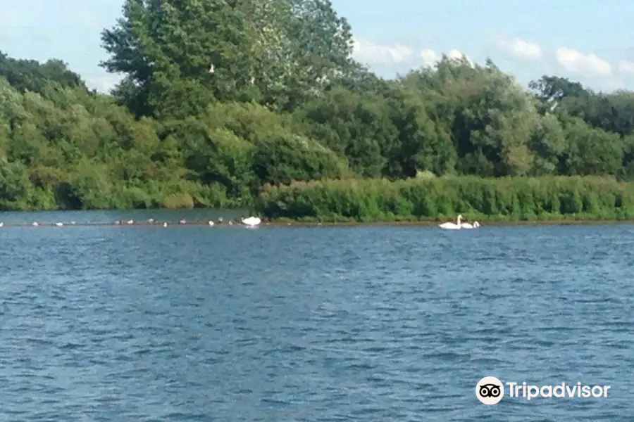 Idle Valley Nature Reserve (Notts Wildlife Trust)