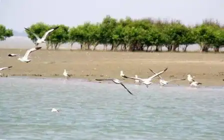 Hotels near Jambu Dwip