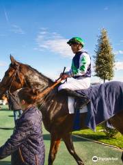 Hippodrome de Pau