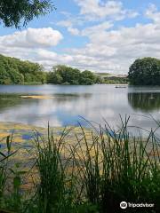 Coate Water Country Park