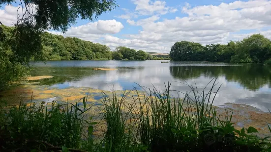 Coate Water Country Park