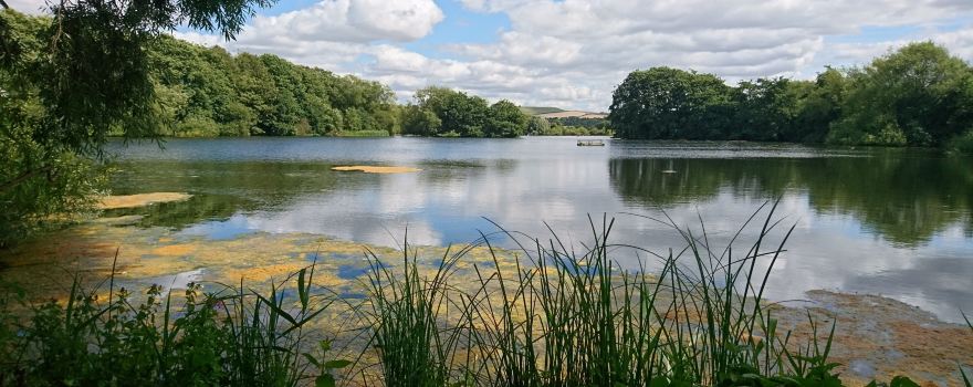 Coate Water Country Park