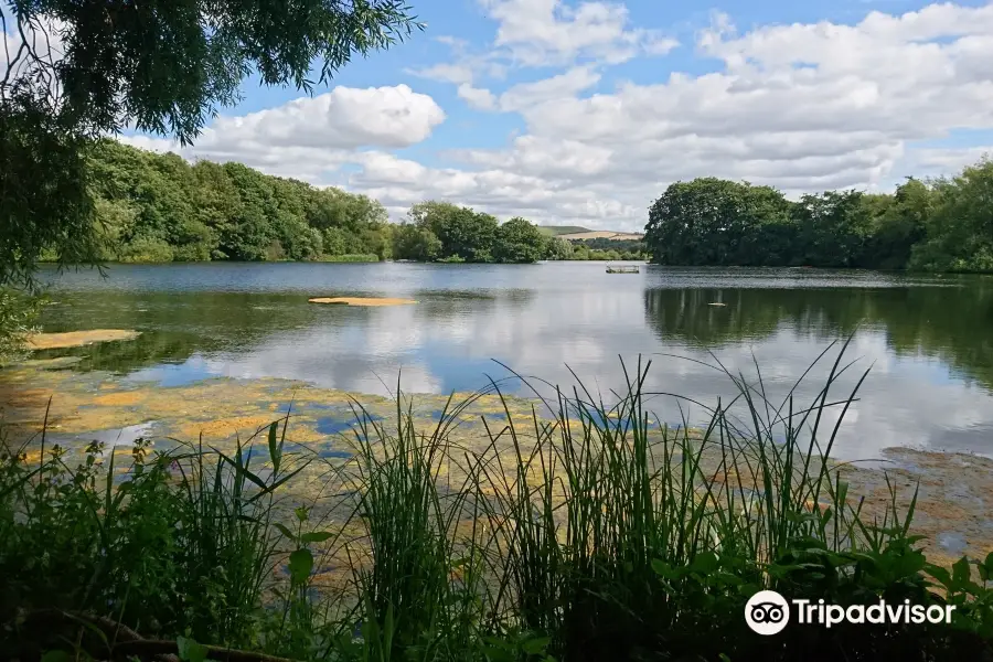 Coate Water Country Park