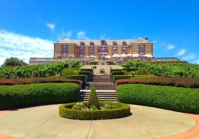 Domaine Carneros