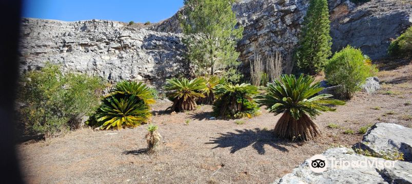 Natural Monument of the Dinosaur Footprints
