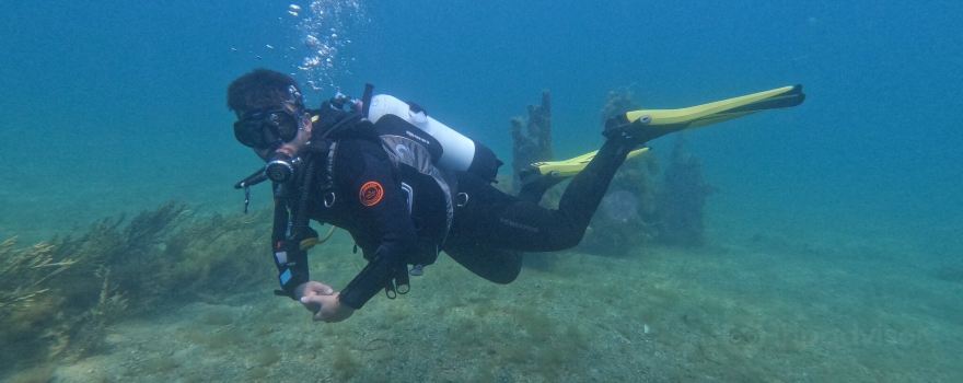 Adelaide Scuba