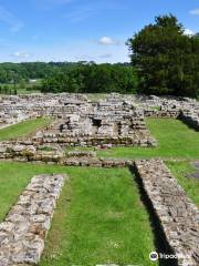 Chesters Roman Fort