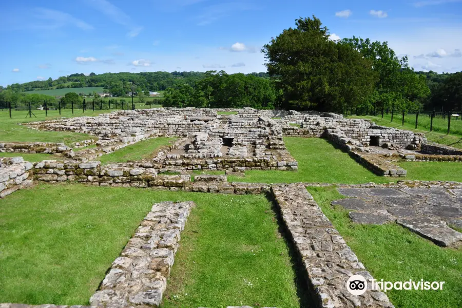 Chesters Roman Fort and Museum - Hadrian's Wall