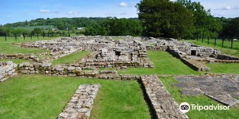 哈德良長城：切斯特羅馬堡壘與博物館