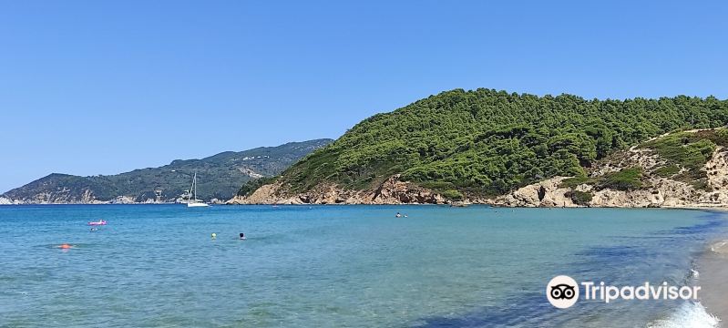 Elia Beach
