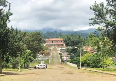 Lobata