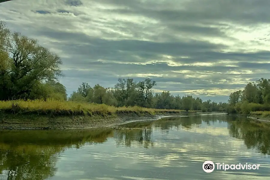 Kopacki Rit Nature Park