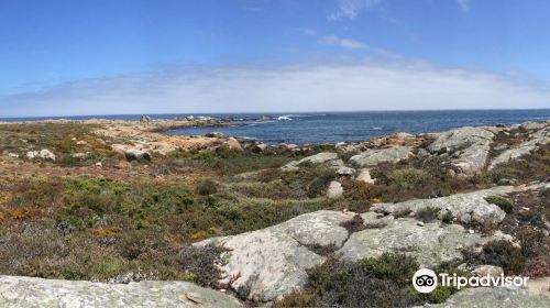 Cape Columbine Nature Reserve Tietiesbaai